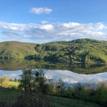 Apartman Jezero Vrutci Užice Buitenkant foto