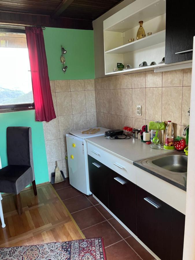 Apartman Jezero Vrutci Užice Buitenkant foto
